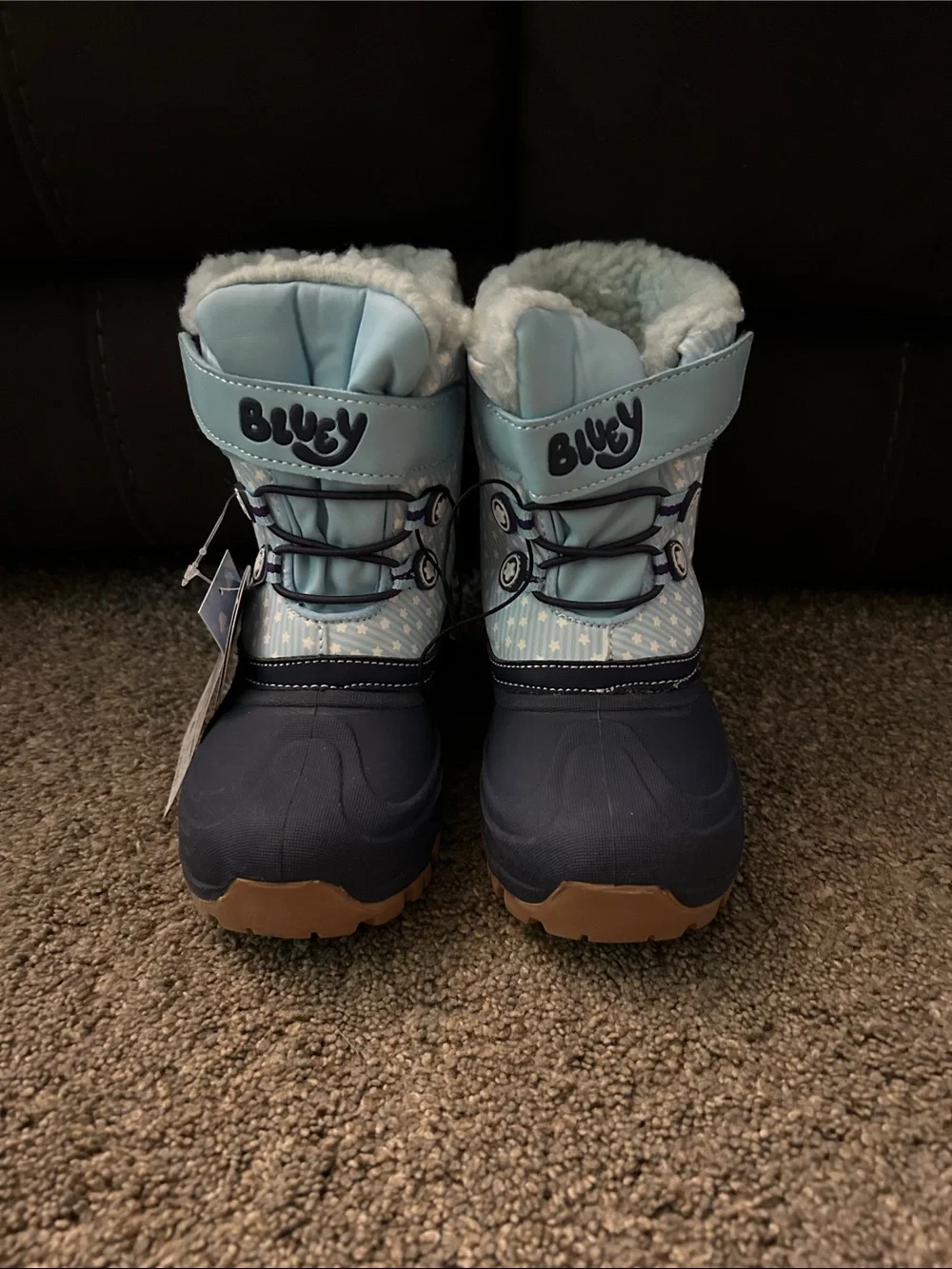 Bluey cozy kids